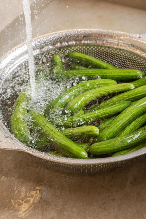 Cucumber