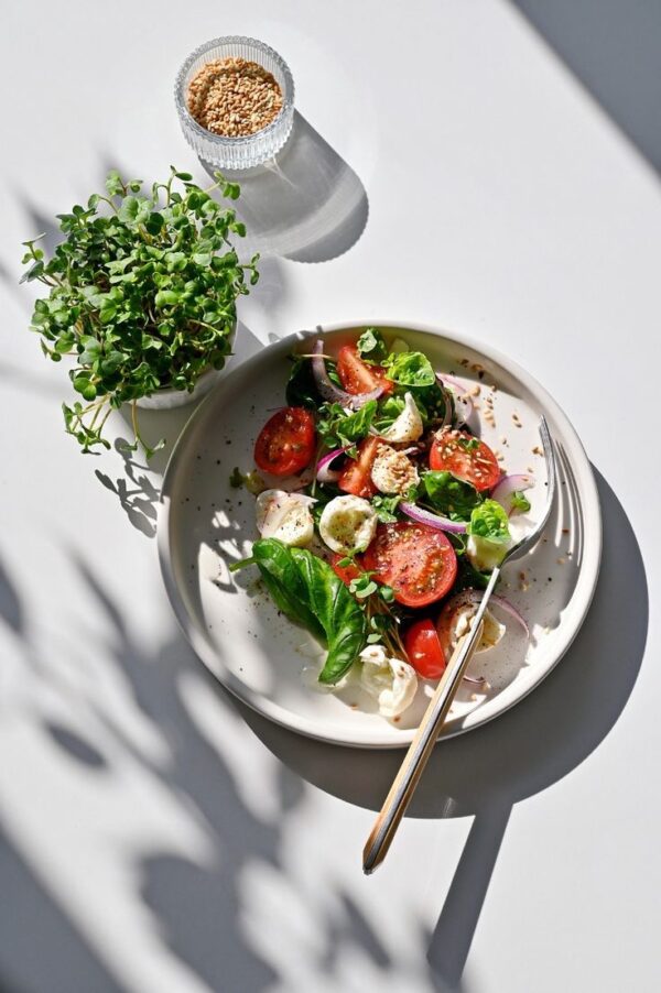Therapeutic Nutrition